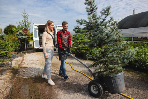 Best Tree Removal Near Me  in Farmington, IL